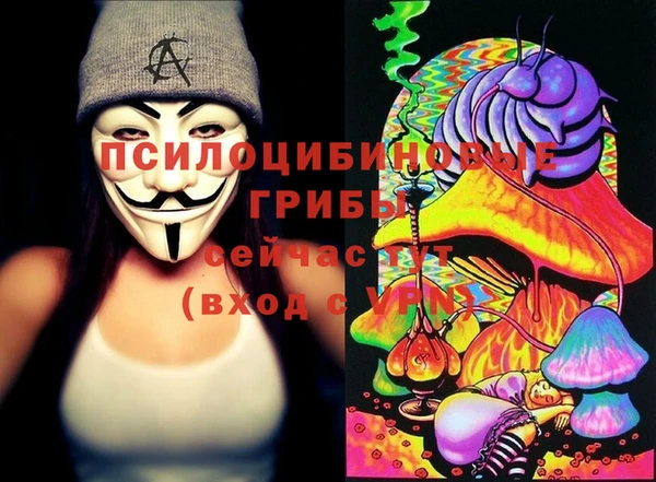 apvp Армянск