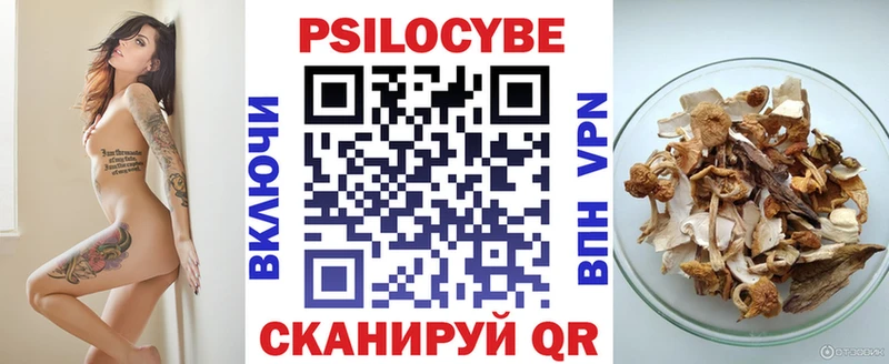 закладки  omg   Псилоцибиновые грибы GOLDEN TEACHER  Сальск 
