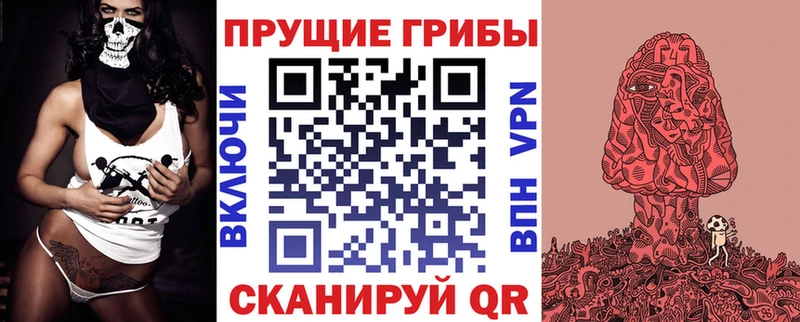 Псилоцибиновые грибы GOLDEN TEACHER Сальск